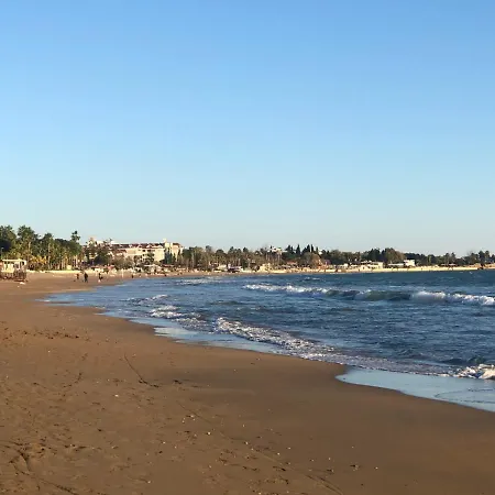 Seaside No-4